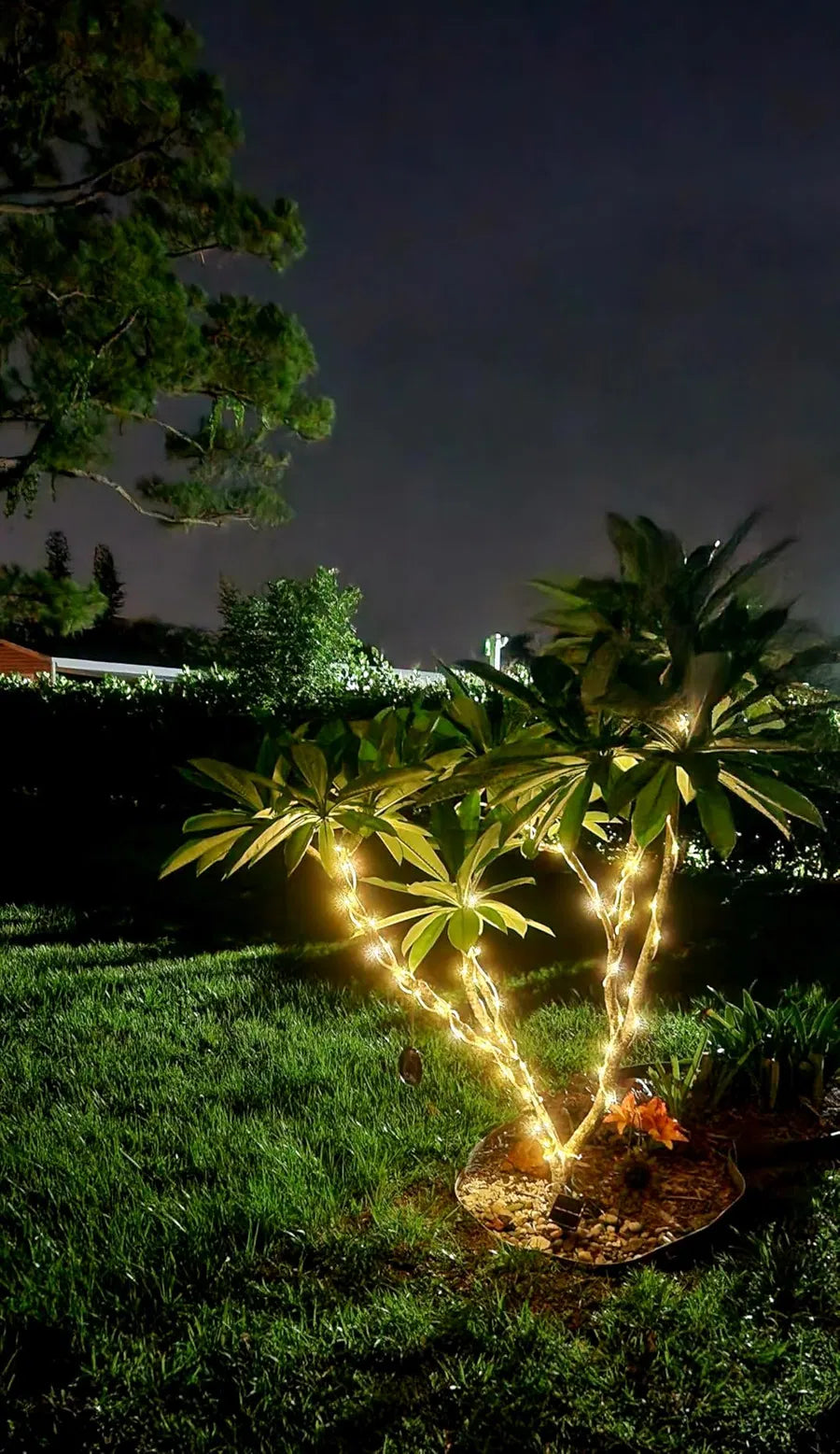 Manguera Solar Luces Navidad 10 Metros